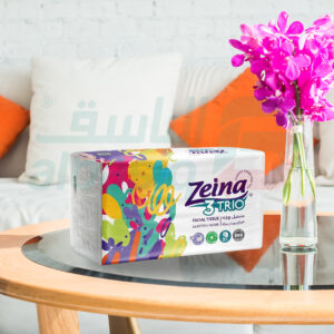 Facial Tissue - Zeina 500 Tissues